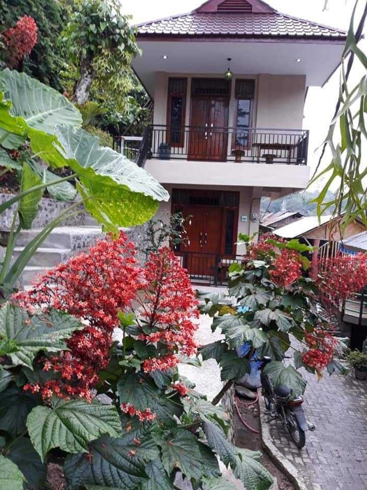 Bukit Lawang酒店 外观 照片